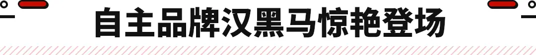 中大型轿车市场巨变！比亚迪成最大亮点 半年卖出超8万辆？插图4