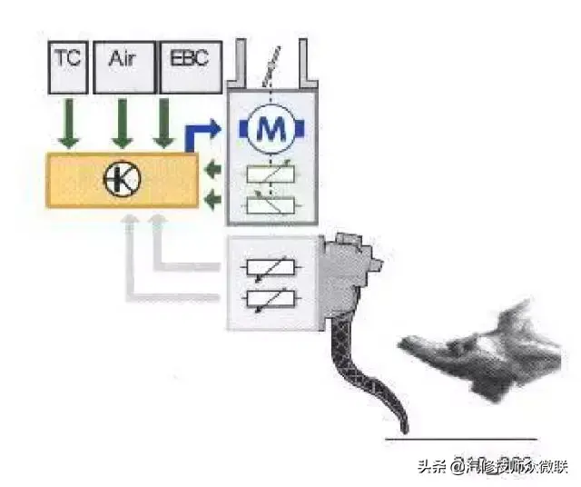 「技师入门」电子节气门控制系统插图3