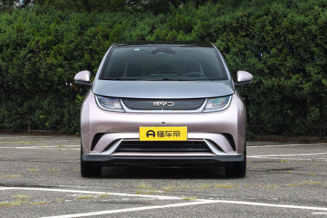 BYD Dolphin 2026, фото 2