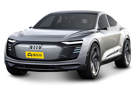 Audi Elaine