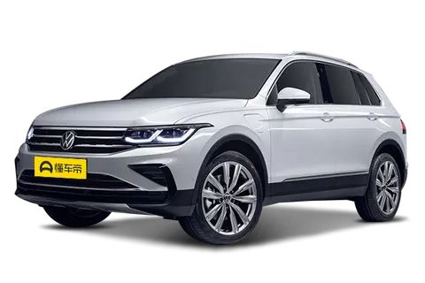 Tiguan NEV
