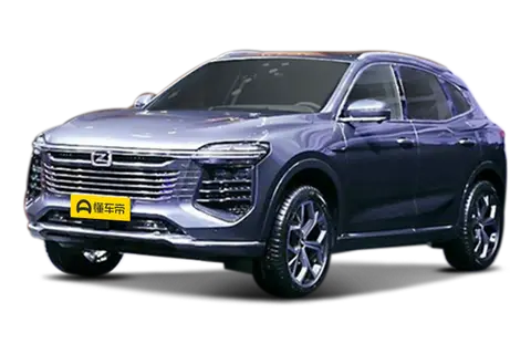 ZOTYE B21