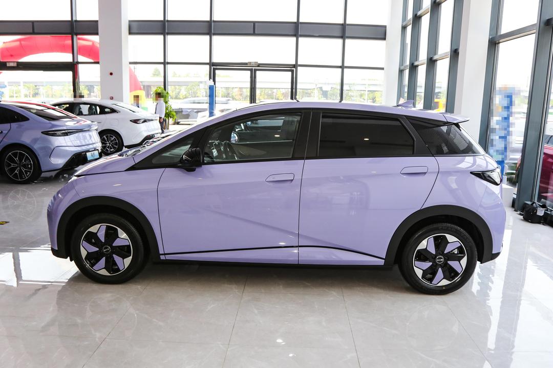 BYD Dolphin 2026, фото 4
