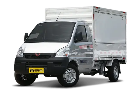 Wuling RongGuangXiaoKaZhuanYongChe