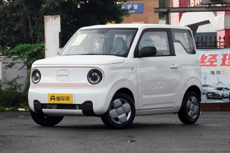 2023 120km Panda mini Adorable Bear