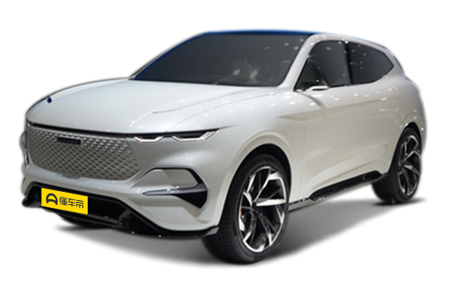 Haval vision2025