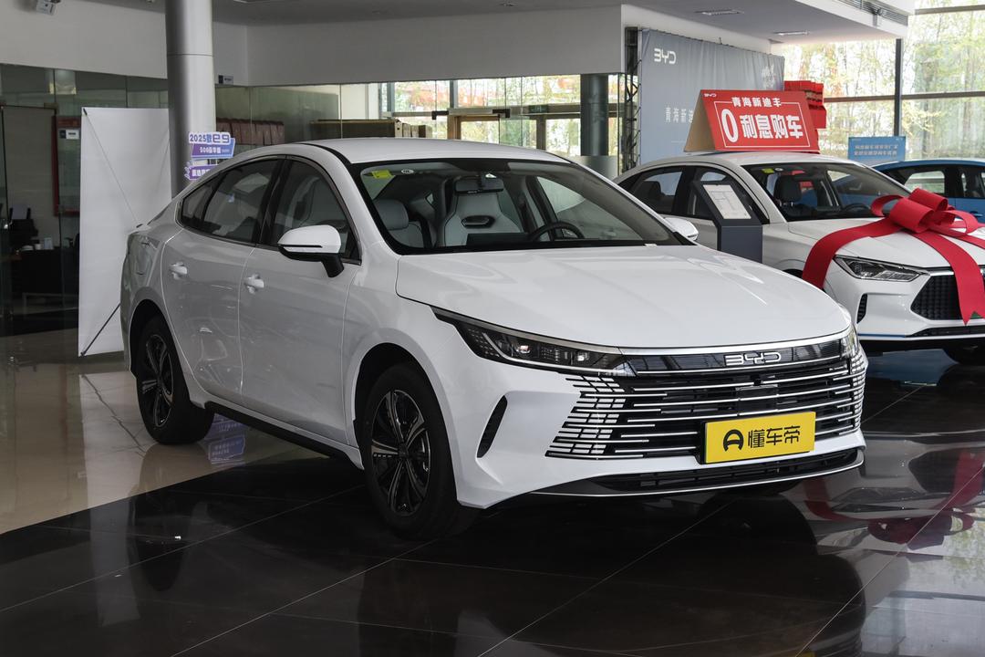 BYD Destroyer 05 2026, фото 3