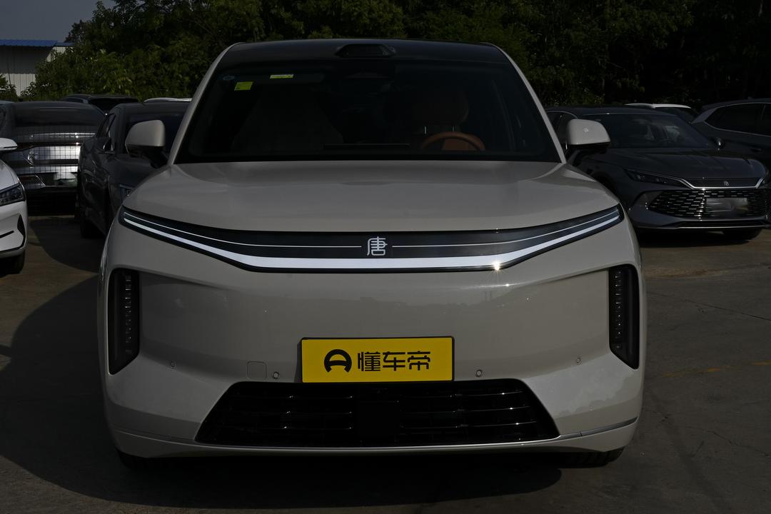 BYD Datang EV 2026, фото 12