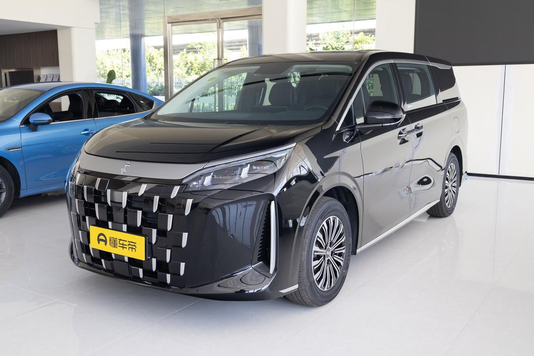 BYD M9 DM
