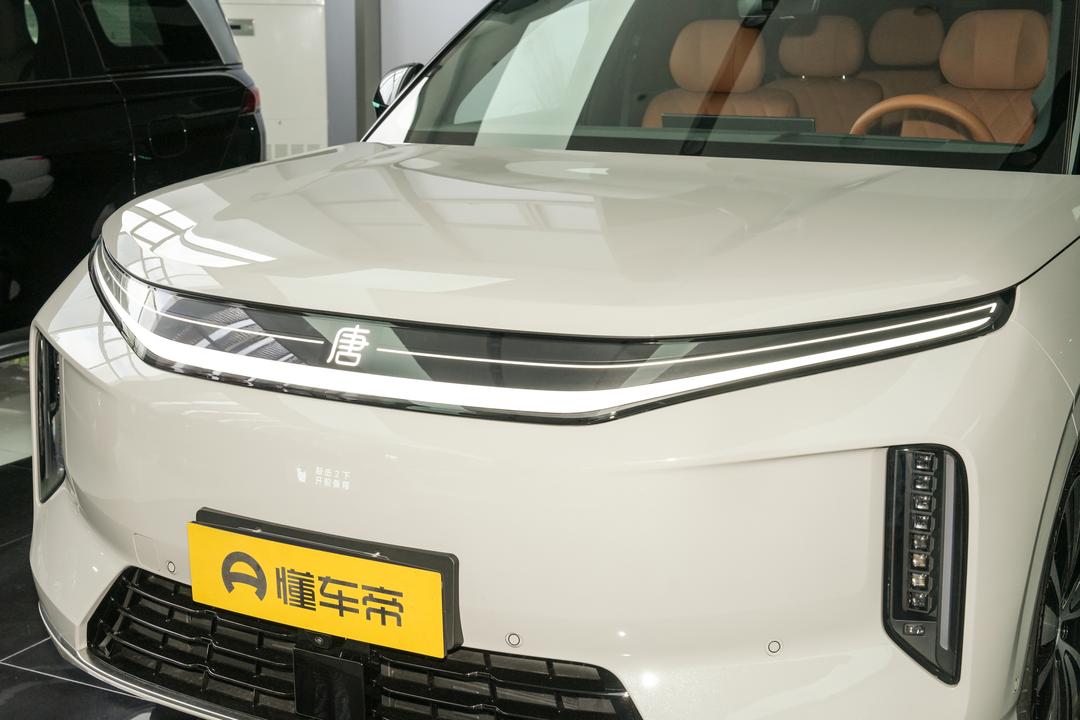 BYD Datang EV 2026, фото 11