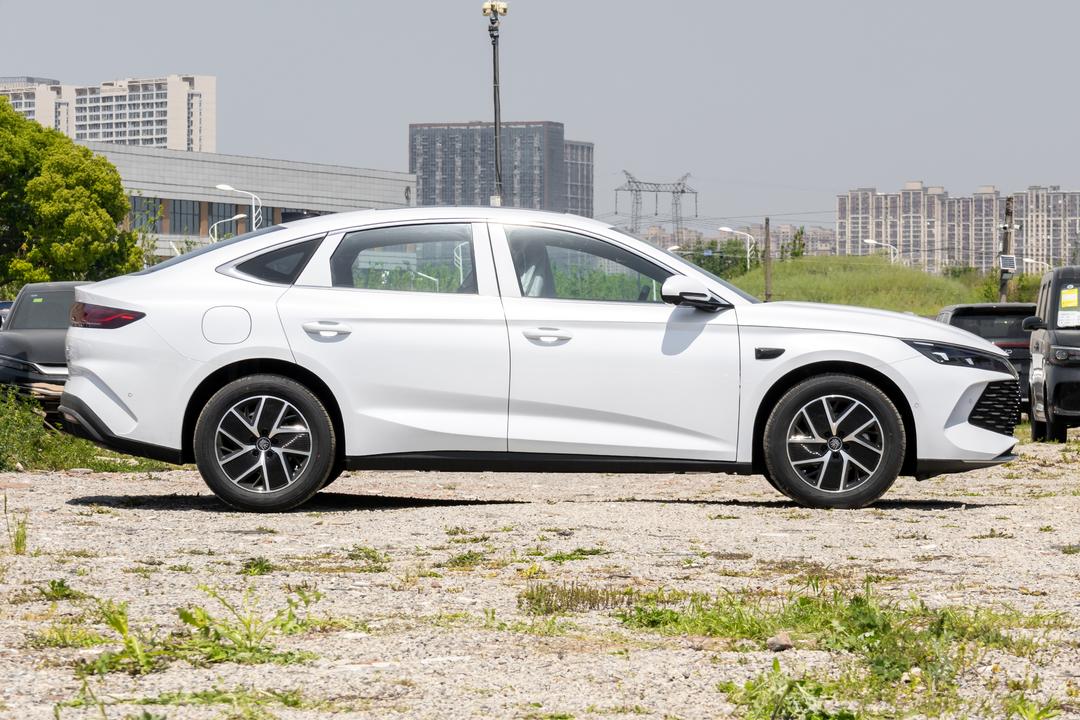 BYD Qin L DM 2026, фото 8