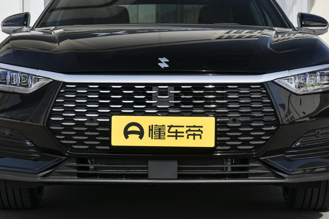 BYD e9 EV 2026, фото 10