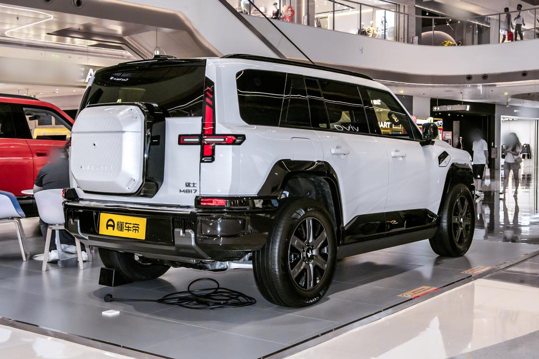 Dongfeng M817 2026, фото 6