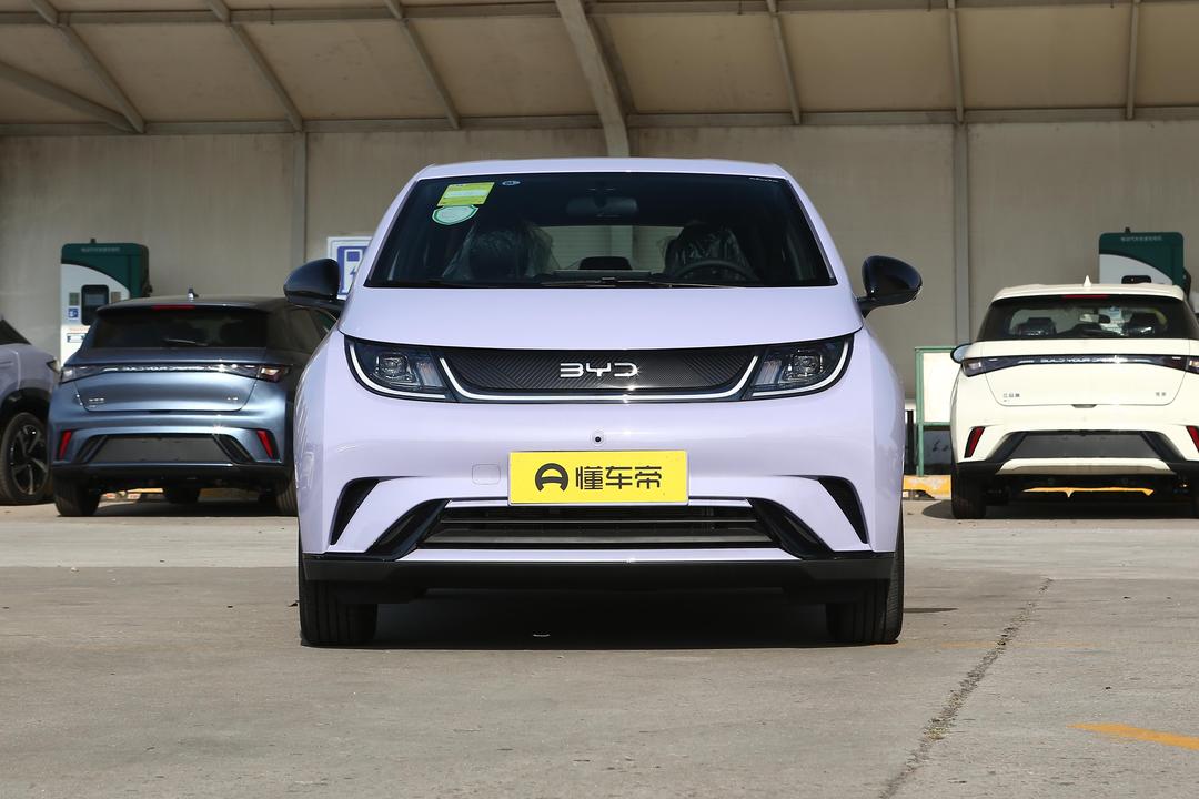BYD Dolphin 2026, фото 2