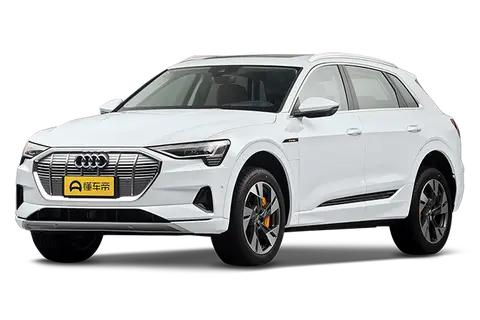 Audi e-tron Import