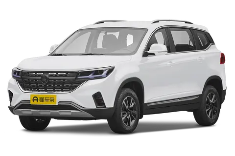 FengXing T5