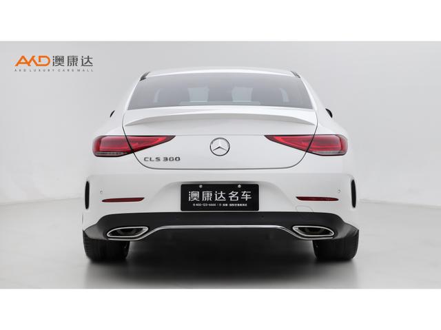 Mercedes-Benz CLS 2023 CLS 300 Luxury — фото 3