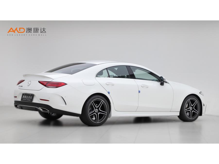 Mercedes-Benz CLS 2023 CLS 300 Luxury