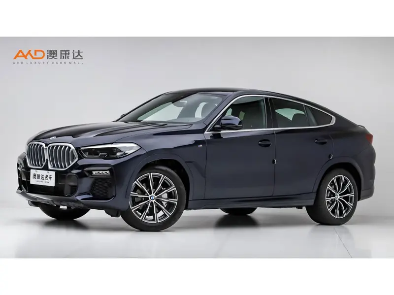 BMW X 6 x Drive 30i M Sport Package