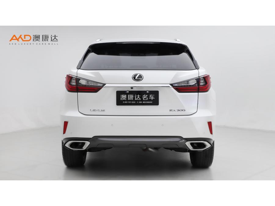 Lexus RX 2016 300 Elegant VI