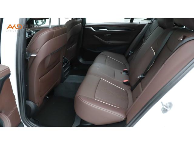BMW 5-Series 2022 530 Li Leading M — фото 10