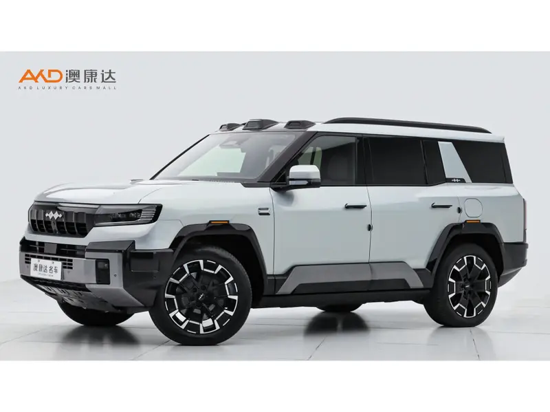 Fang Cheng Bao 8 Flagship 7