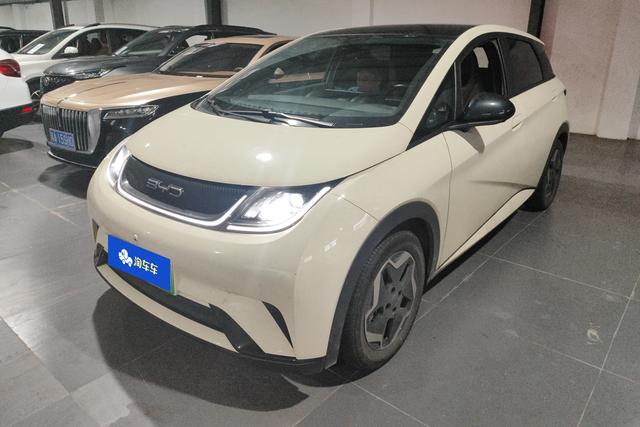BYD Dolphin 2021 года выпуска