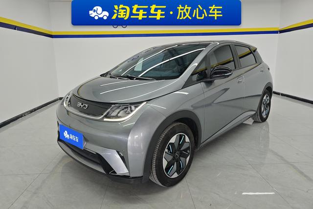 BYD Dolphin 2024 года выпуска