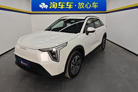 Havalon 2023 1.5L 110km Pilot Edition