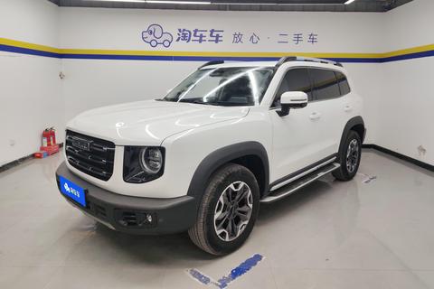 Havoc Big Dog 2021 2.0T 4WD Chinese Garden Dog Edition