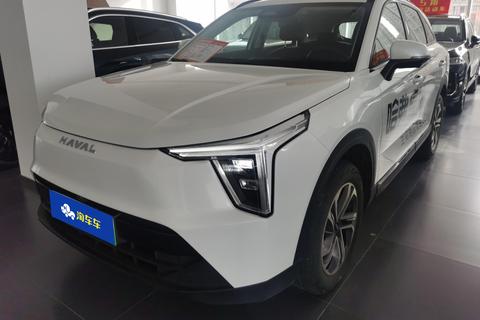 Havalon 2023 1.5L 110km Pilot Edition