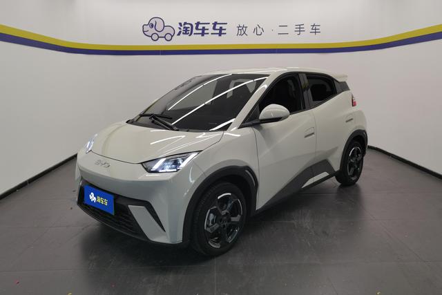 BYD Seagull 2024 года выпуска