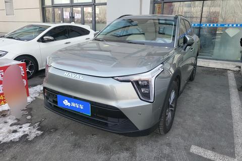 Havalon 2023 1.5L 110km Pilot Edition