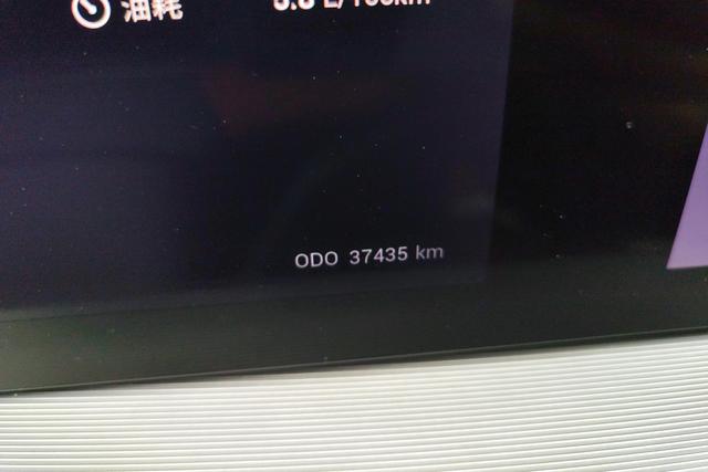 Star Path Starway Yaoguang C-DM 2024 — фото 13