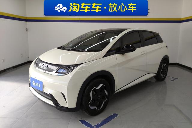 BYD Dolphin 2021 года выпуска