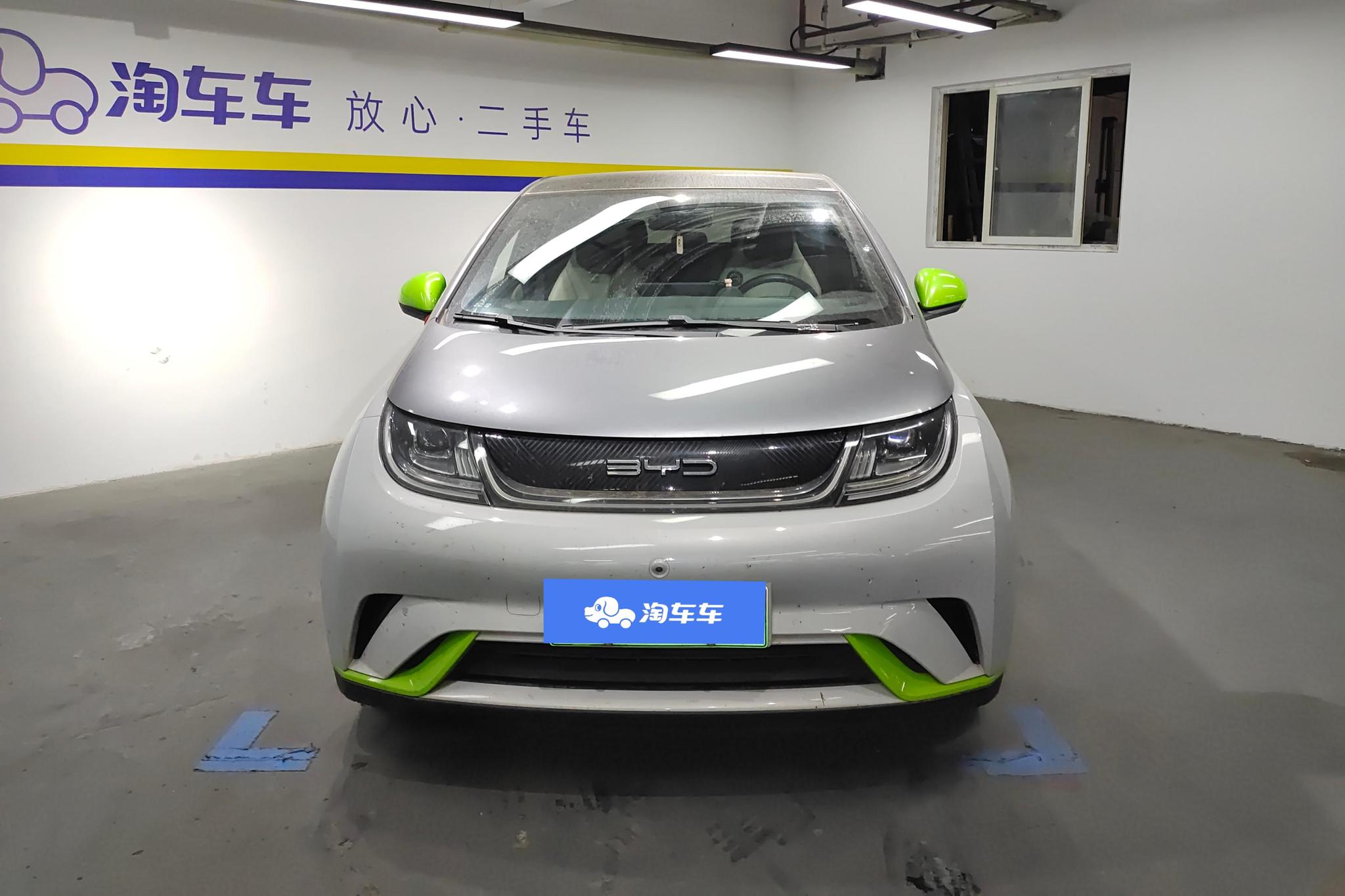 BYD Dolphin 2021 Fashion