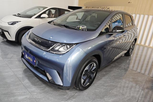 BYD Dolphin 2024 года выпуска