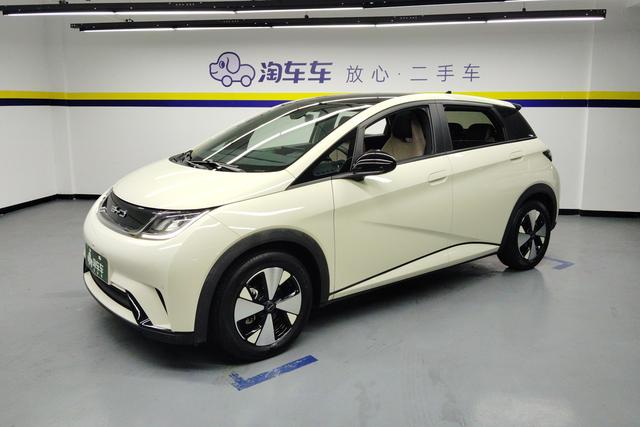 BYD Dolphin 2023 года выпуска