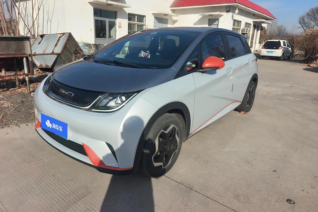 BYD Dolphin 2021 года выпуска