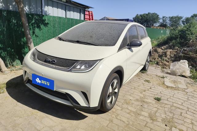 BYD Dolphin 2024 года выпуска