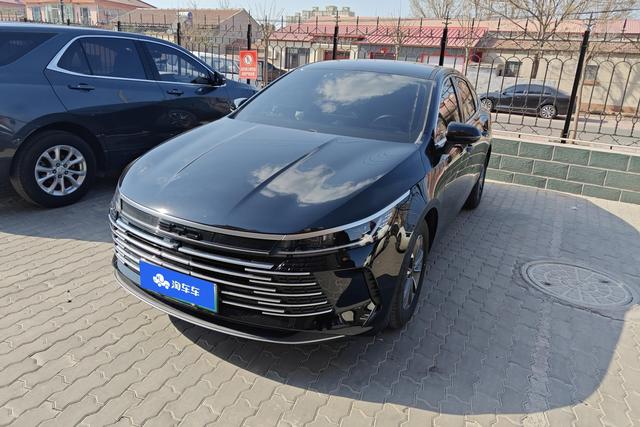 BYD Destroyer 2024 года выпуска