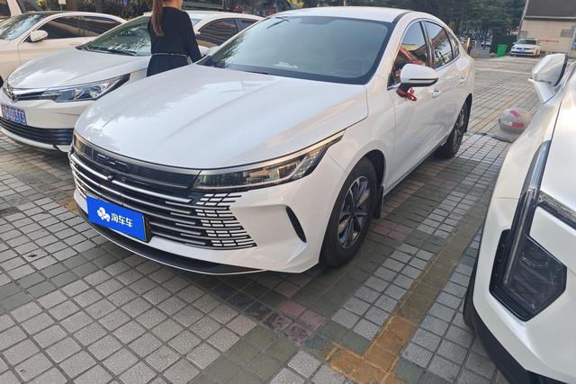 BYD Destroyer 2024 года выпуска