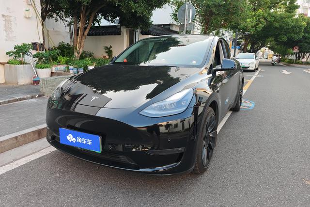 Tesla Model Y 2021 года выпуска