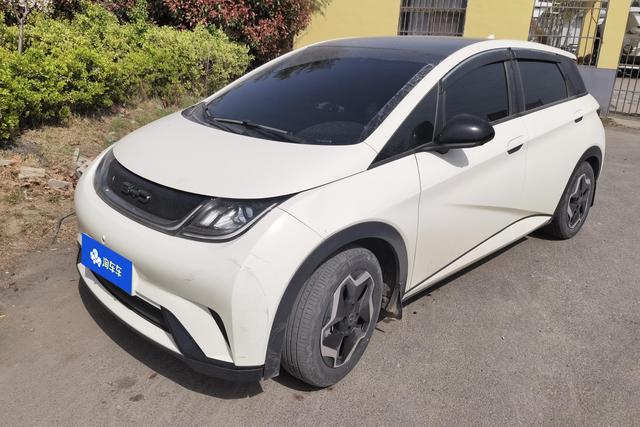 BYD Dolphin 2021 года выпуска