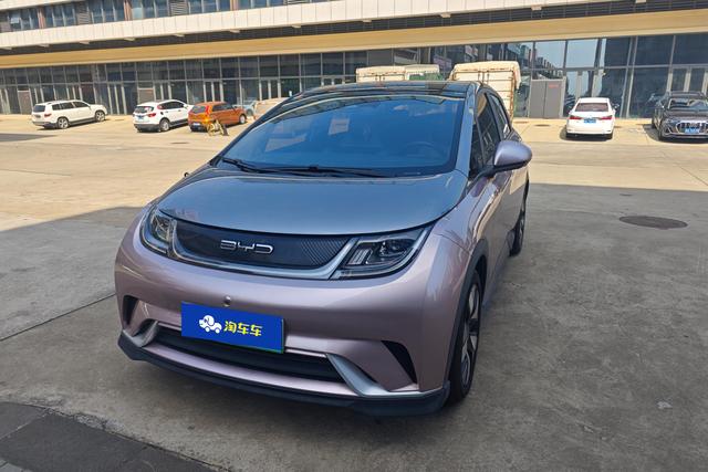 BYD Dolphin 2021 года выпуска