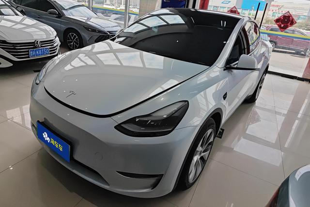 Tesla Model Y 2021 года выпуска
