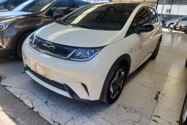 BYD Dolphin 2021 года выпуска
