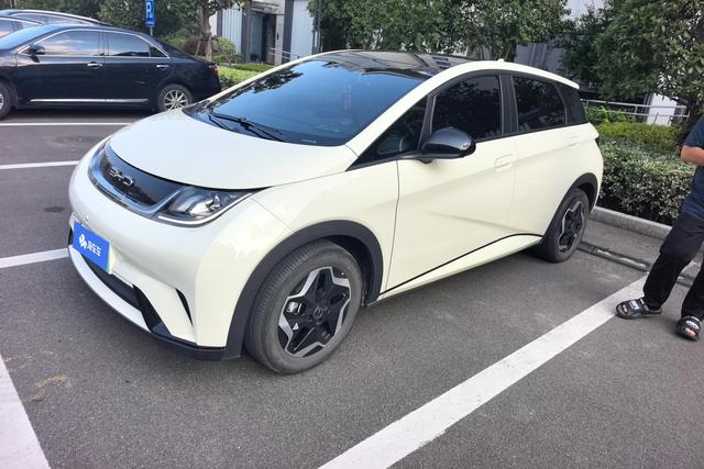 BYD Dolphin 2021 года выпуска