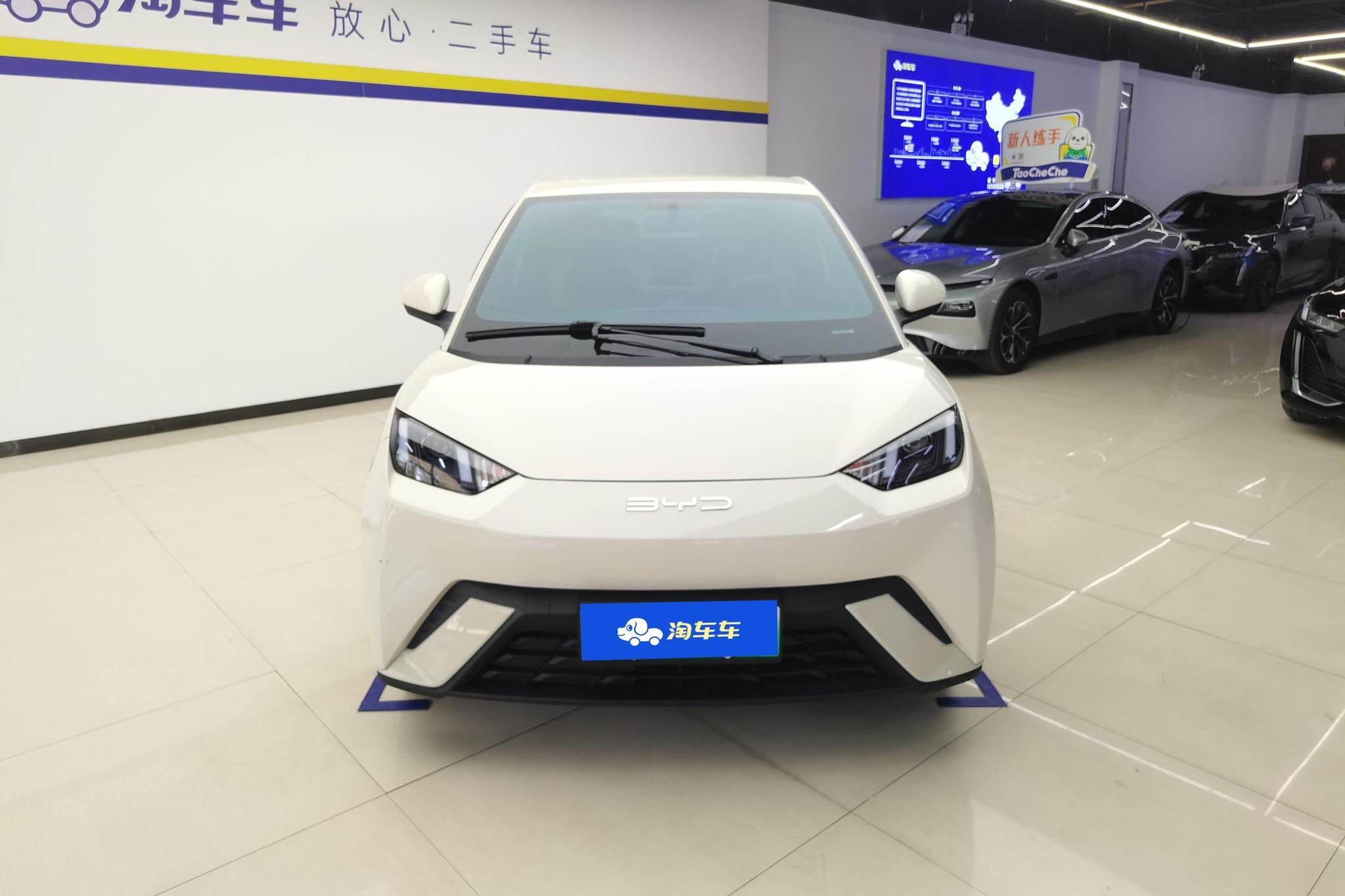 BYD Seagull