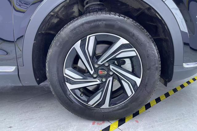 Red flag HS5 2023 Черный из Китая, фото 5